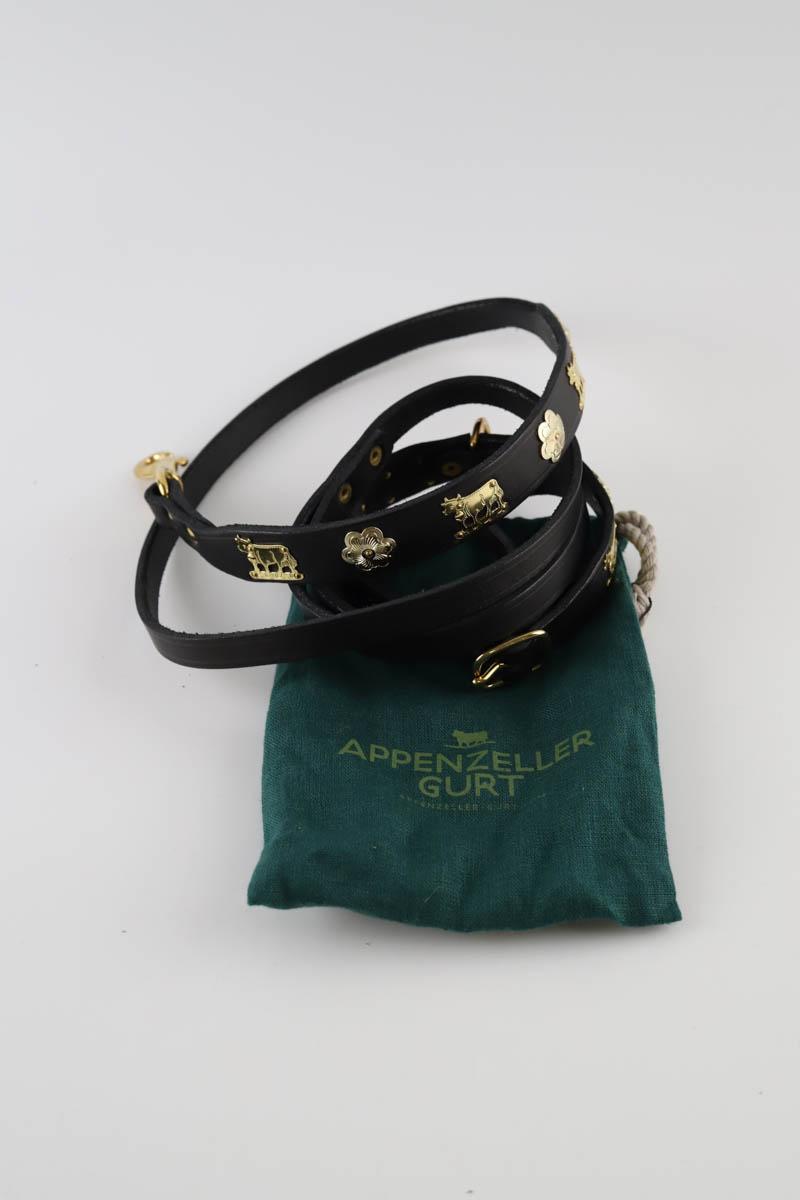 Laisse pour chien Other Brand  