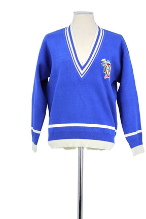 Pull Sandro  Bleu