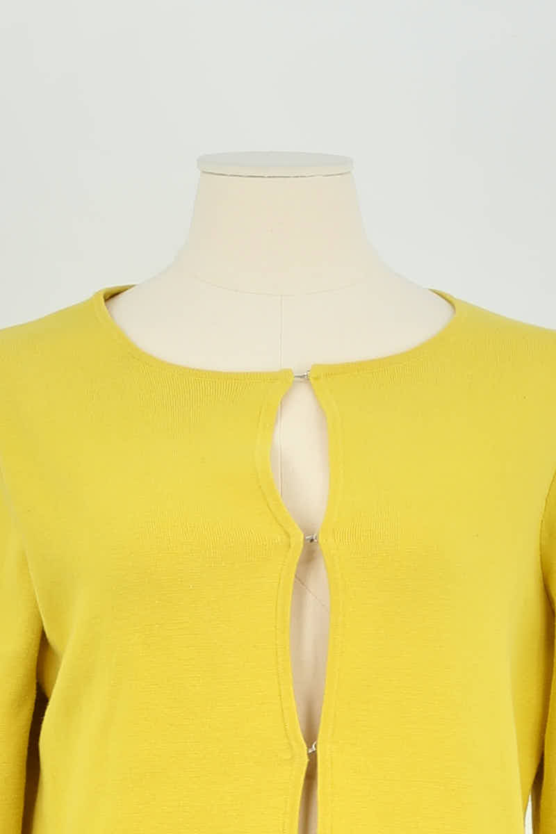 Autres Allude  Jaune