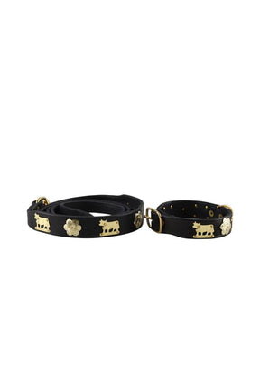 Laisse pour chien Other Brand  