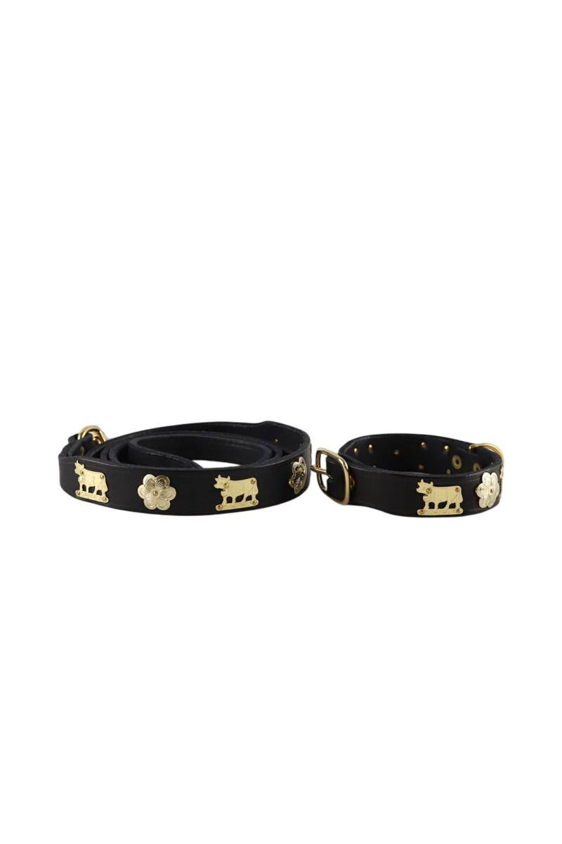 Laisse pour chien Other Brand  