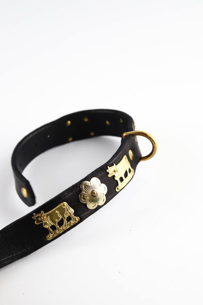 Laisse pour chien Other Brand  