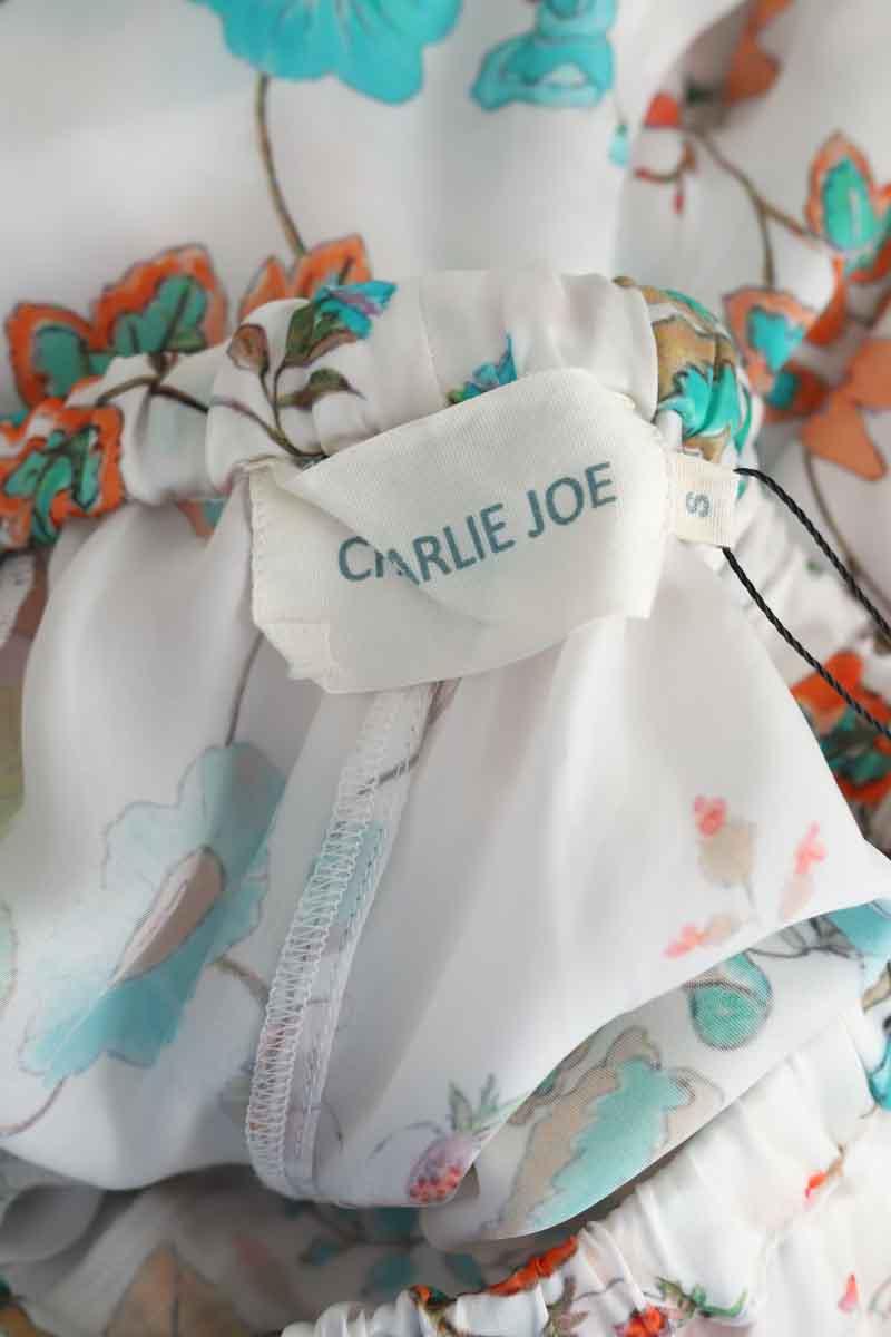 Droit Charlie Joe  Multicolore
