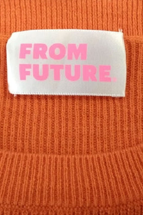 Pull From Future  Orange