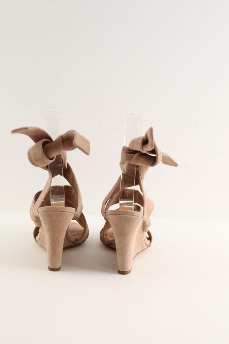 Talons Bash  Rose