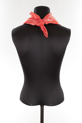 Echarpes Moismont  Orange