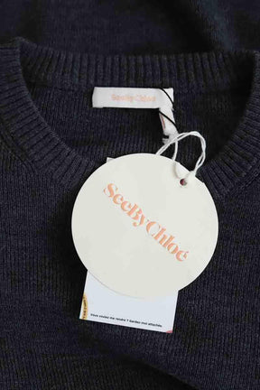 Pull See By Chloé  Gris