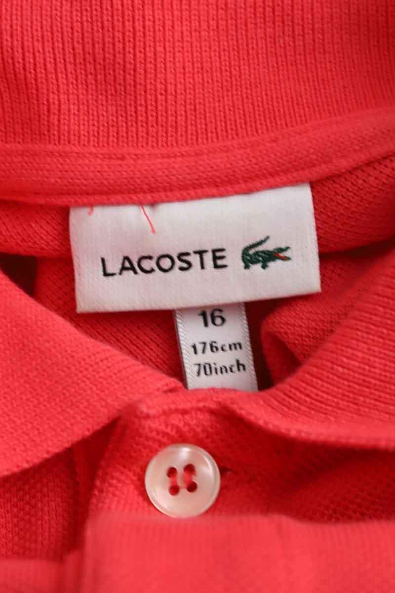 Polo Lacoste  Rose