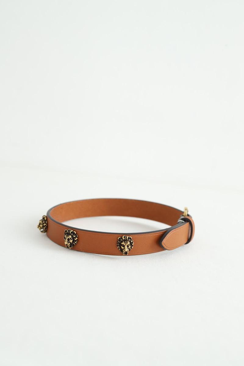 Collier de chien Gucci  Camel