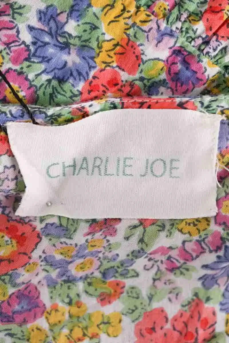 Robe Charlie Joe Multicolore en Coton
