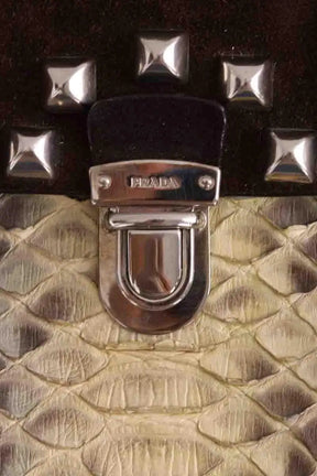 Mini sac Prada Marron en Cuirs exotiques
