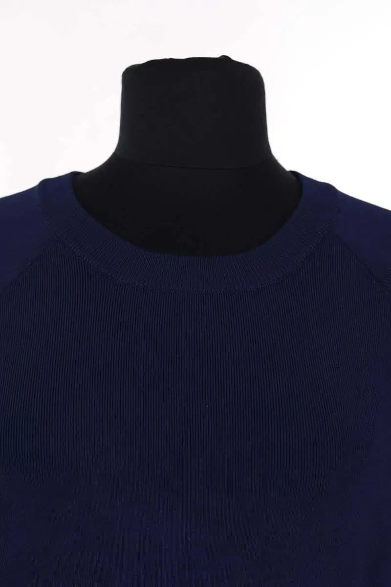 Pull Sandro Bleu en Synthétique