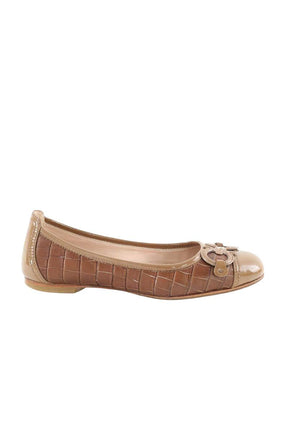 Ballerines Salvatore Ferragamo  Marron