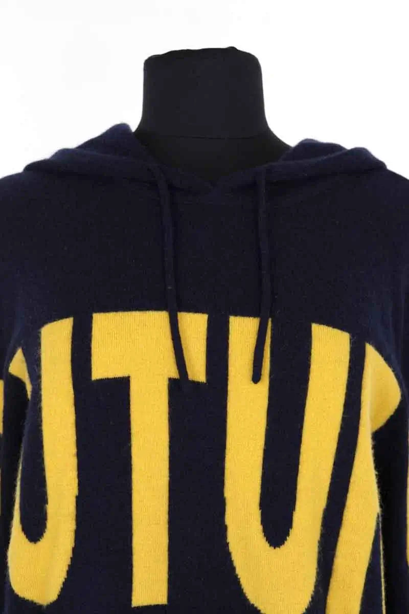 Sweatshirt à capuche  From Future Marine en Cachemire