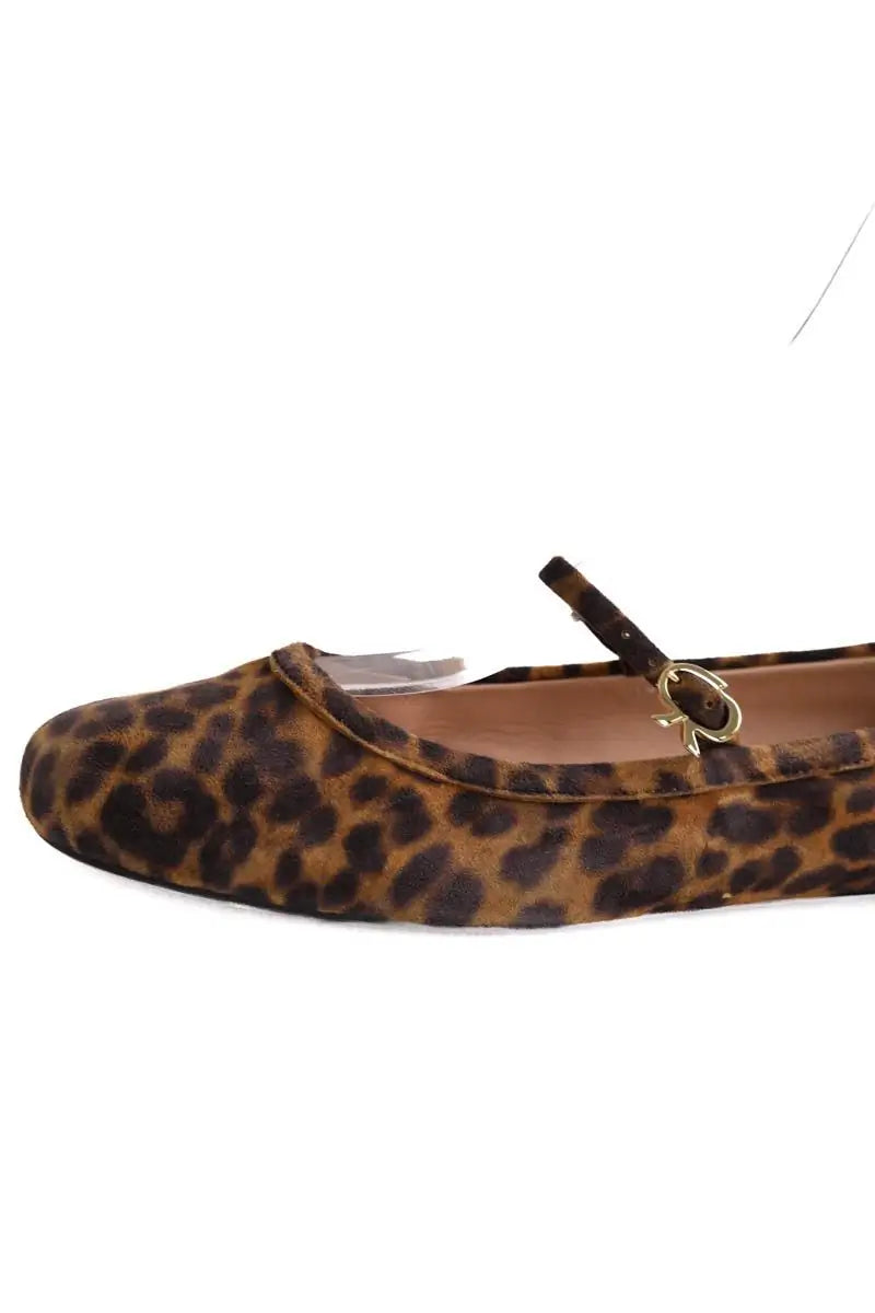 Ballerines Gianvito Rossi Marron en Daim