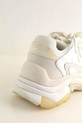 Baskets Ash  Gris