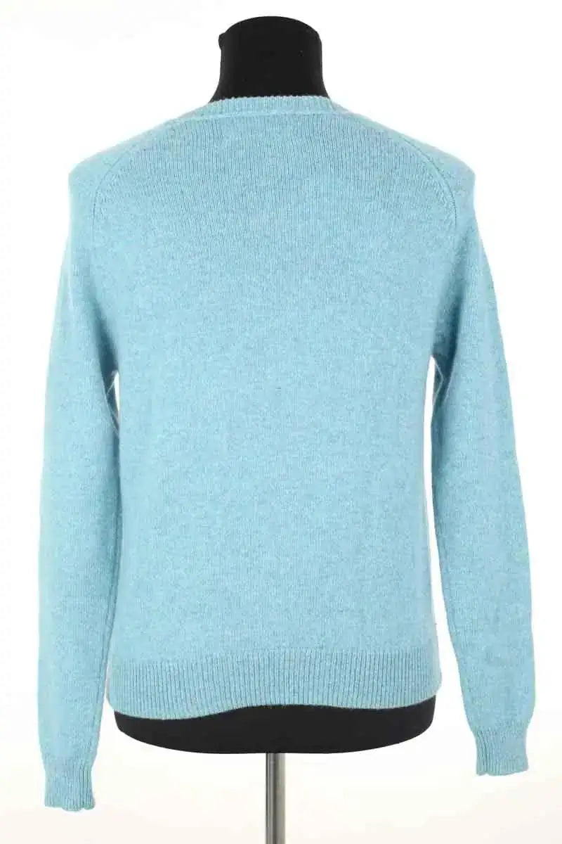 Pull Alexandra Golovanoff Bleu en Cachemire