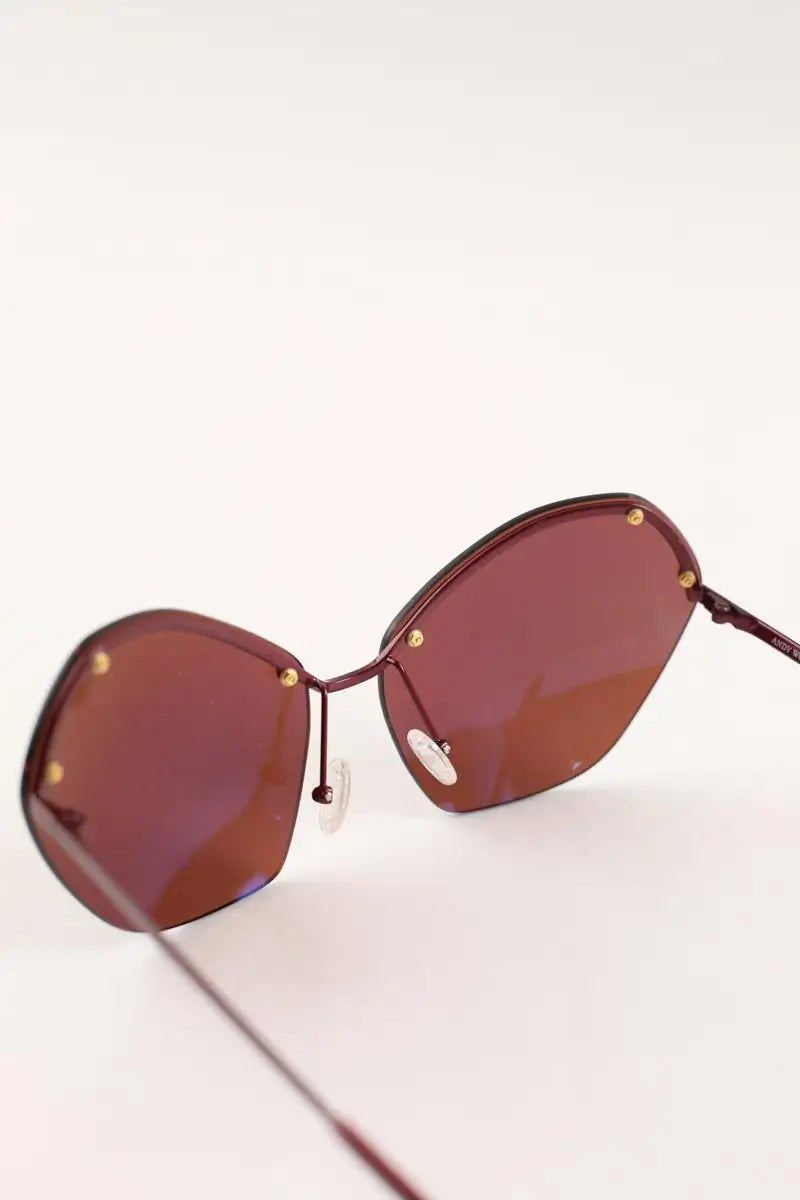 Lunettes de soleil Andy Wolf Marron en Plastique