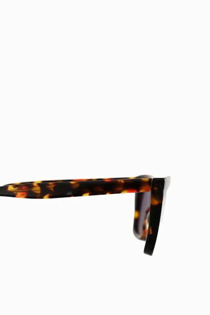 Lunettes de soleil Jimmy Fairly La Wind Marron en Plastique