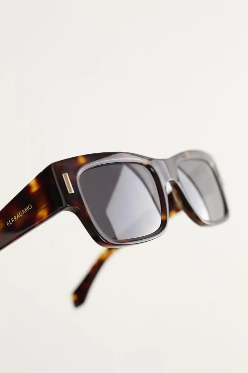 Lunettes de soleil Salvatore Ferragamo Marron en Plastique