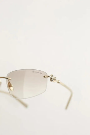 Lunettes de soleil Tiffany Marron en Plastique