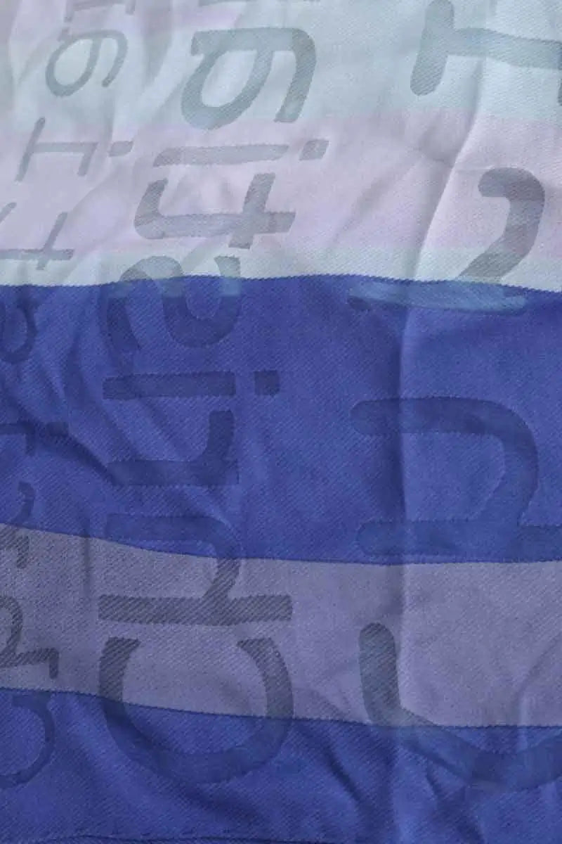 Chèche Dior Bleu en Viscose
