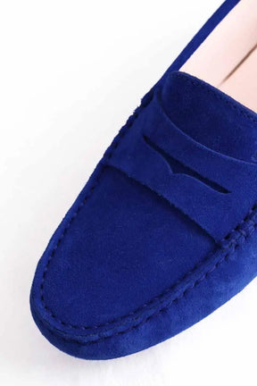 Mocassins Tod's Bleu en Daim