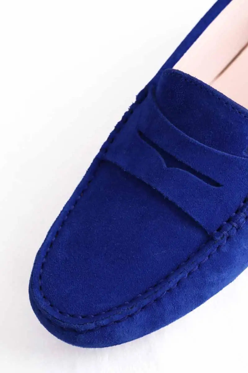 Mocassins Tod's Bleu en Daim