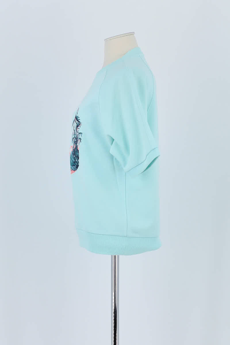 Pull Lacoste Bleu en Coton