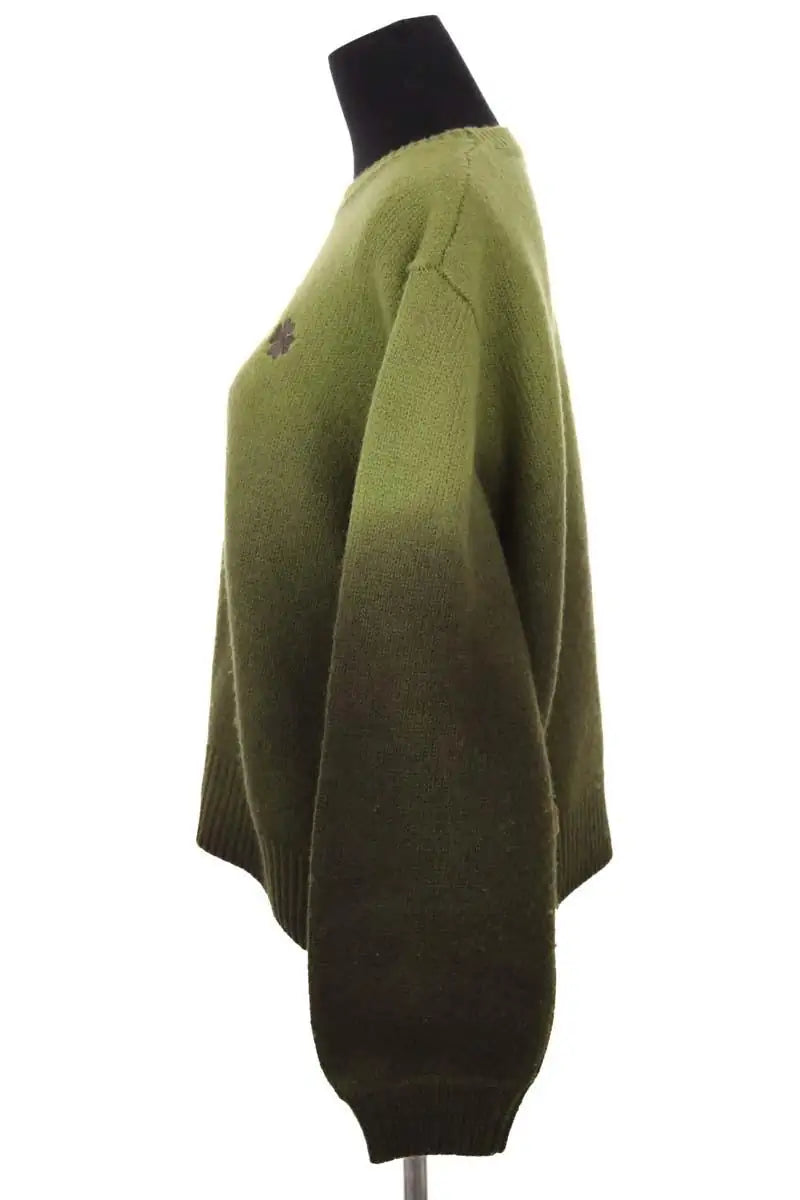 Pull Ladl Vert en Laine