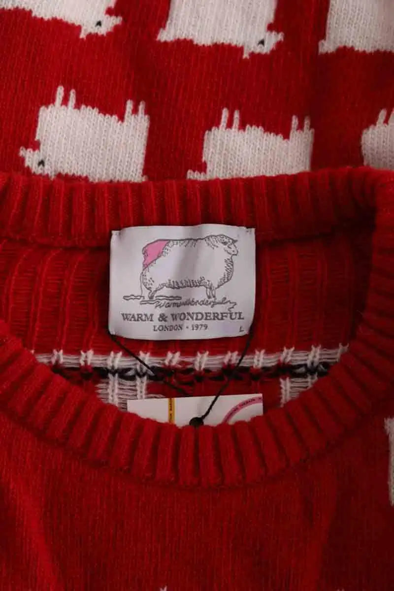 Pull Warm & Wonderful Rouge en Laine