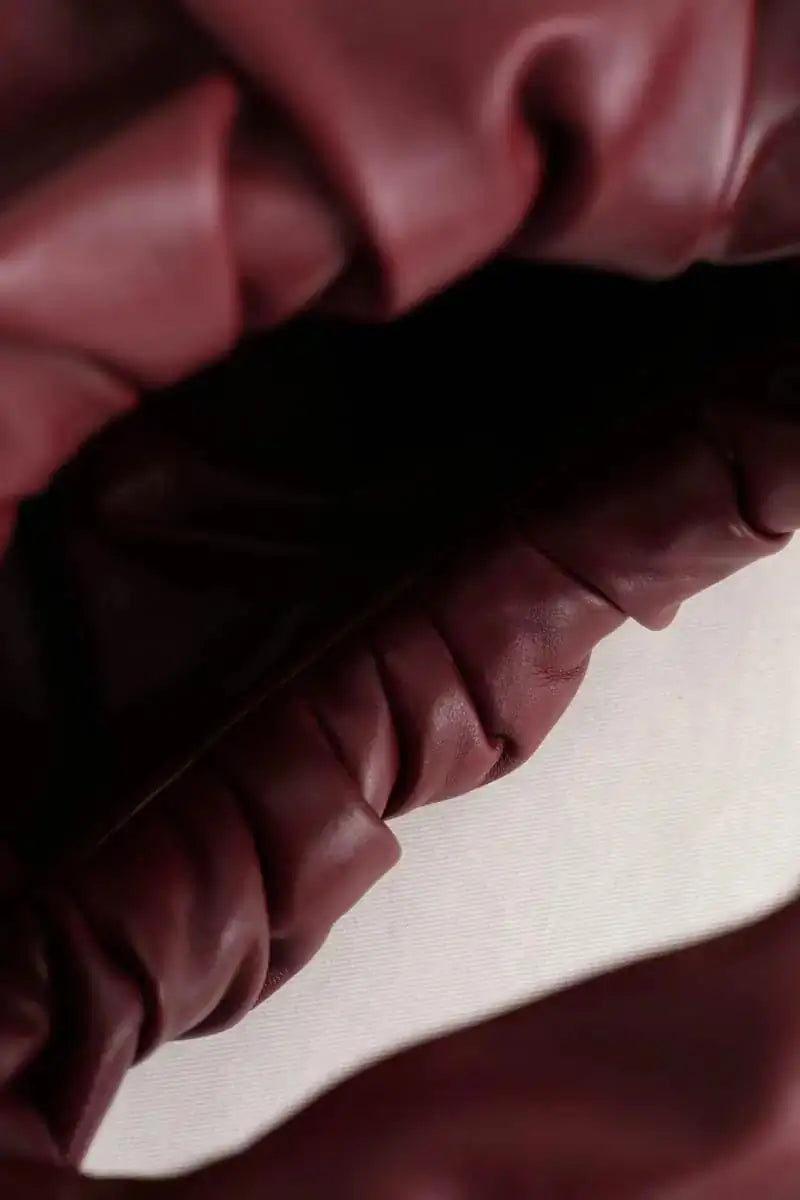 Sac à main Bottega Veneta Bordeaux en Cuir