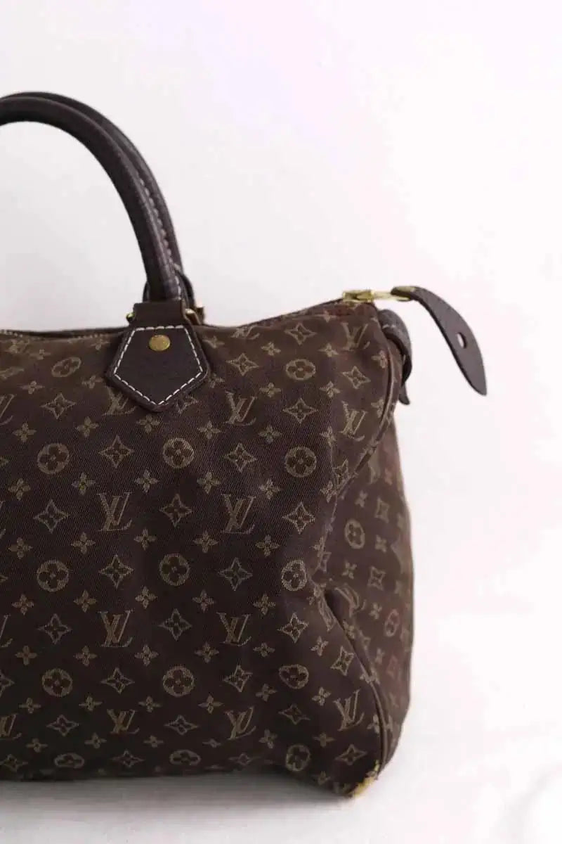 Sac à main Louis Vuitton Speedy 30 Marron en Cuir