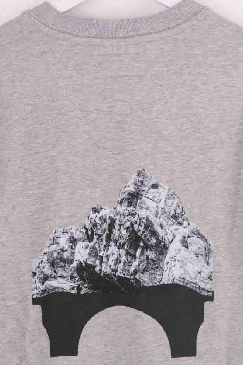 Sweatshirt Other Brand Gris en Coton