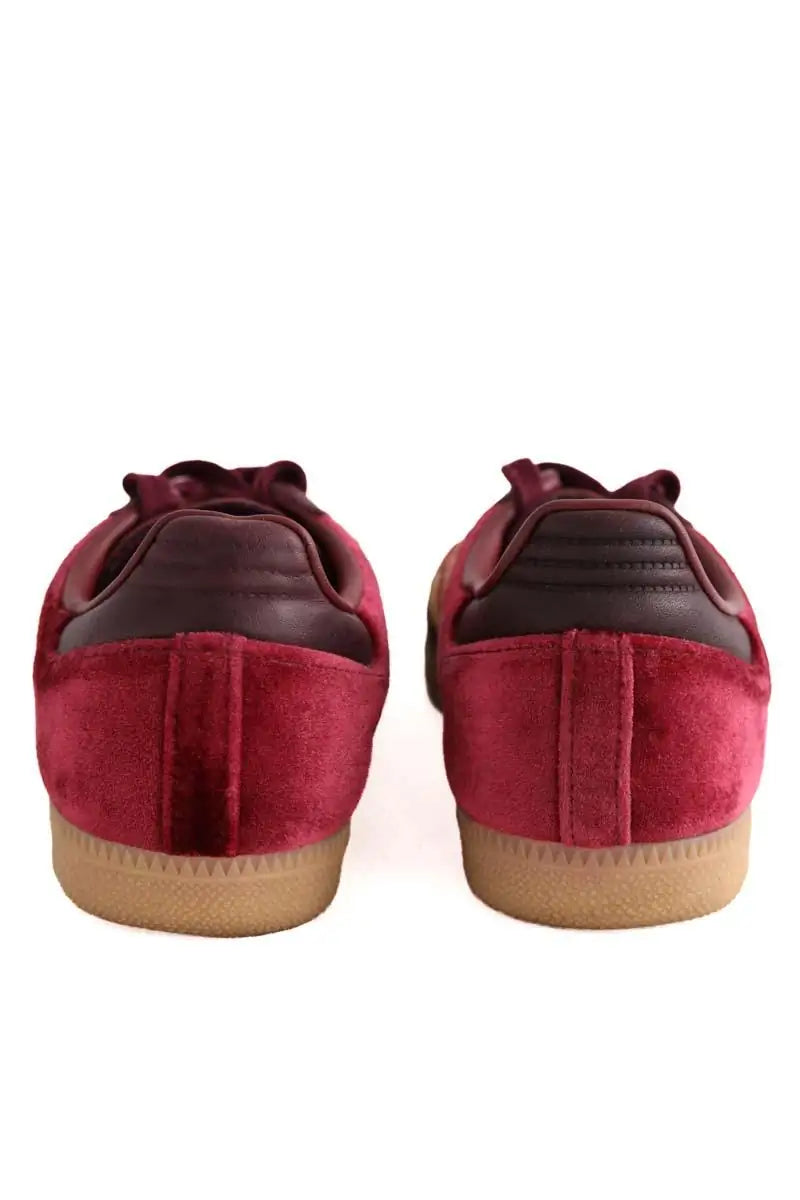Baskets Adidas Bordeaux en Velours