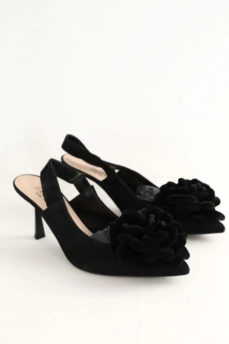 Talons Agl Noir en Daim