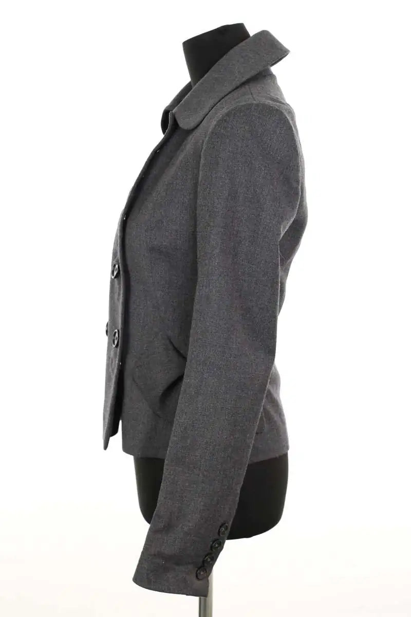 Veste Dice Kayek Gris en Laine