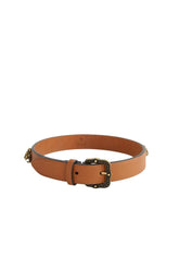 Collier de chien Gucci  Camel